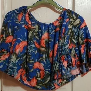 Floral crop